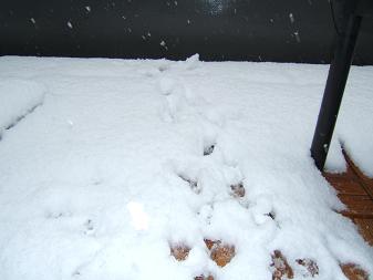 a0045990_22581096.jpg