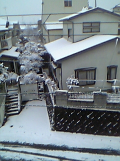 e0062892_8473216.jpg