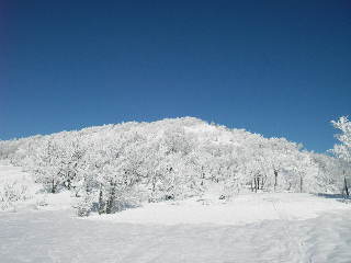 a0043193_2259911.jpg