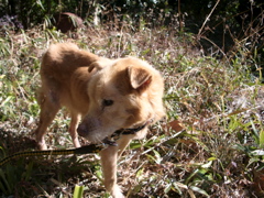 a0061594_22115371.jpg