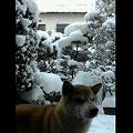 d0066694_21253662.jpg