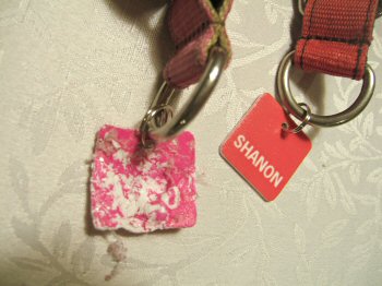 c0050400_22184090.jpg