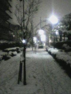 c0045210_151814.jpg