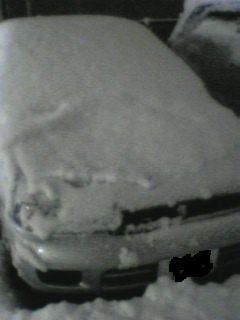 c0045210_1555658.jpg