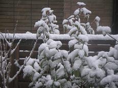 f0008510_10122317.jpg
