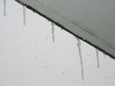 b0000813_20421855.jpg