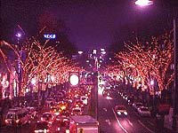 c0026024_19375416.jpg