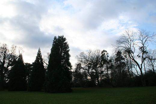 f0018027_8183220.jpg