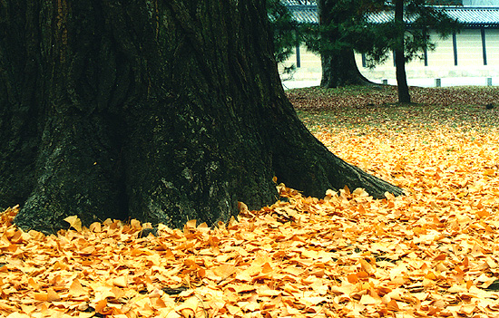 f0050627_21204299.jpg