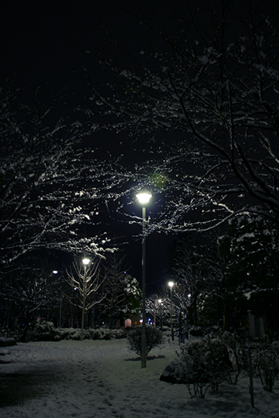 b0063234_2148552.jpg