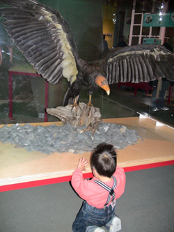 e0057740_7139.jpg