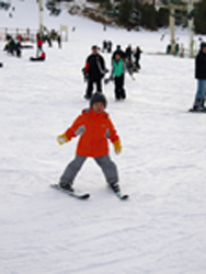 e0077840_4553664.jpg