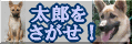 迷子の太郎