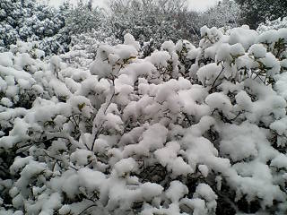 e0063653_9472469.jpg