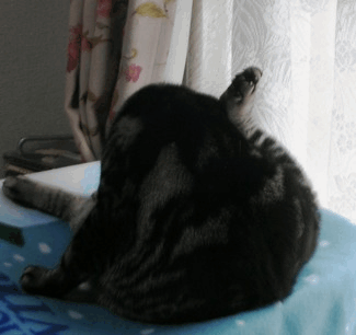 c0045655_2331234.gif
