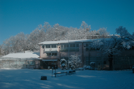 b0001656_22252120.jpg