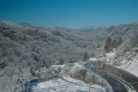 b0001656_22253280.jpg