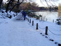b0019960_342931.jpg