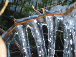 d0050472_16135817.jpg