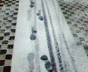 d0045977_55066.jpg