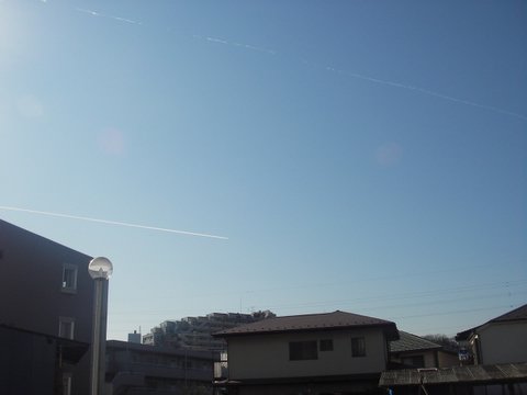 a0043982_1732034.jpg