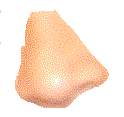 d0034082_10381866.gif