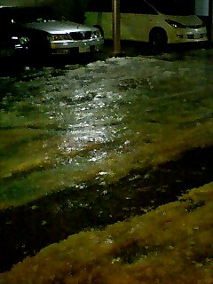 b0017892_20171022.jpg