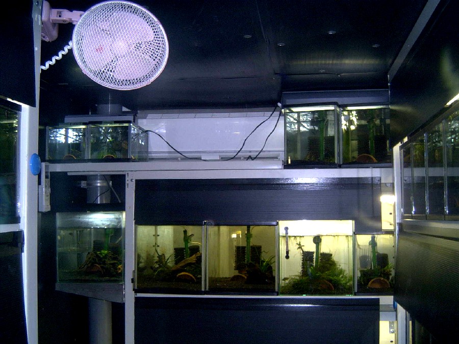 b0067196_21185317.jpg