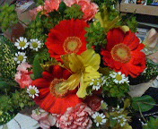 d0019500_9491852.jpg