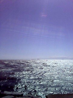 e0019200_198334.jpg