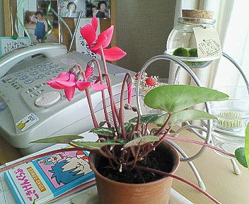 c0017505_192598.jpg