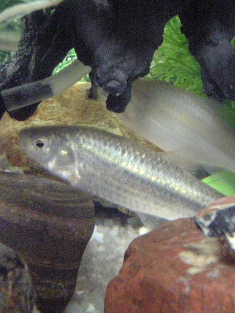 f0034007_0201243.jpg