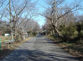c0011009_11135178.jpg