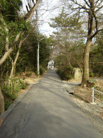 c0011009_11142758.jpg