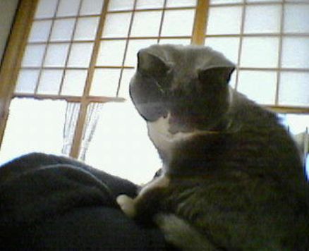 f0032020_15312826.jpg