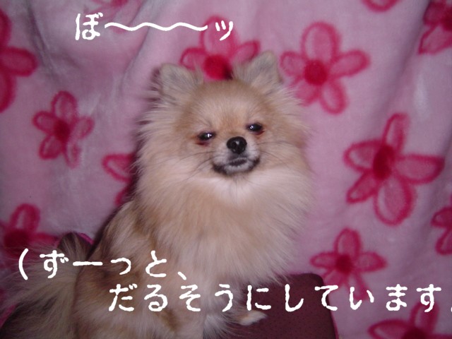 f0012924_23523124.jpg