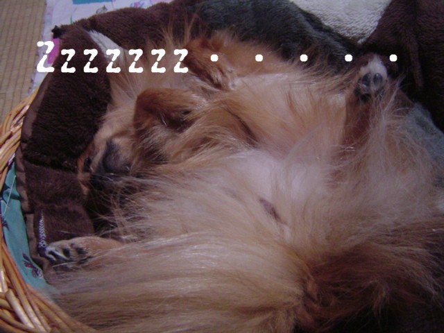 f0012924_23553993.jpg