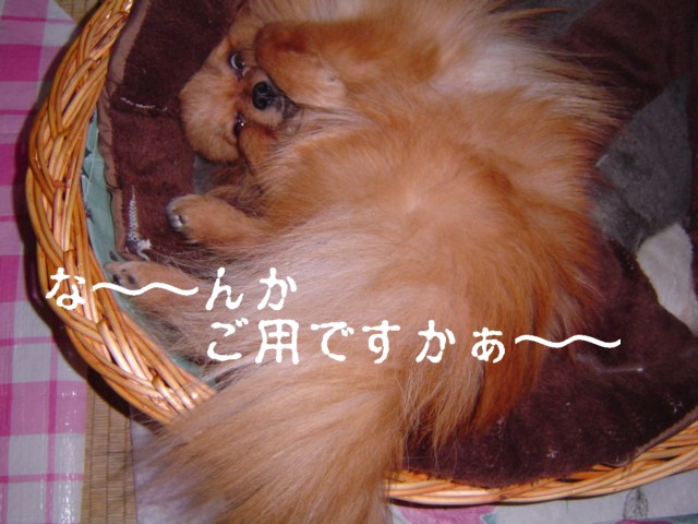 f0012924_23572366.jpg