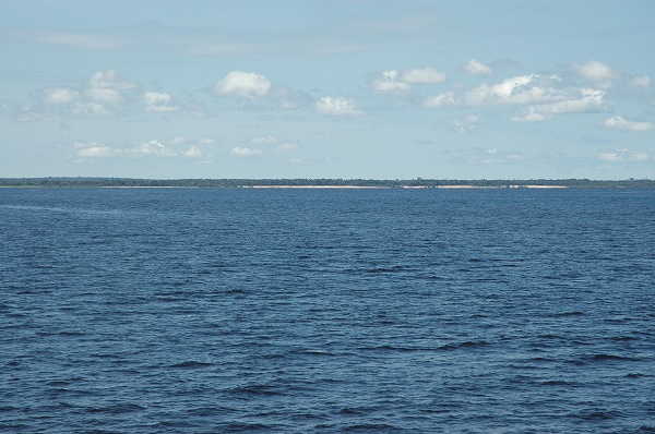 a0017634_22481170.jpg