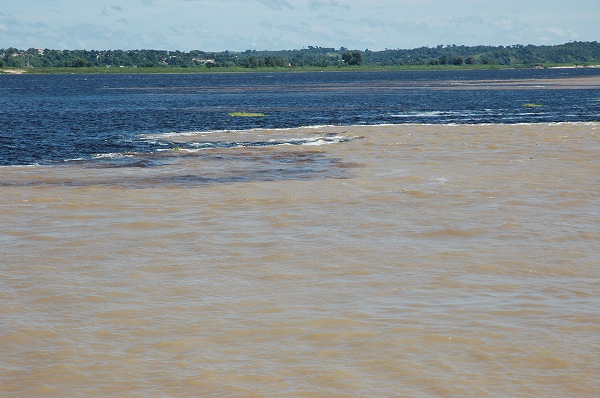a0017634_22503667.jpg