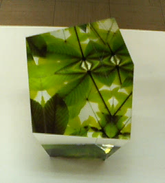 d0007037_19594036.jpg