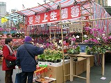 c0008439_1532176.jpg