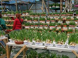 c0008439_1534040.jpg
