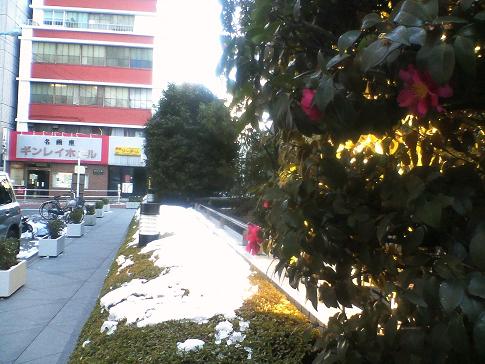 d0047944_0315488.jpg