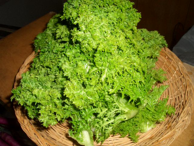 f0009451_2212137.jpg