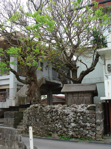 b0049152_21475215.jpg