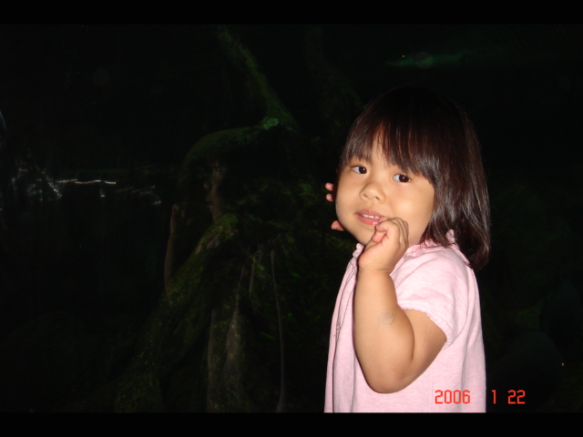 d0065459_16451283.jpg