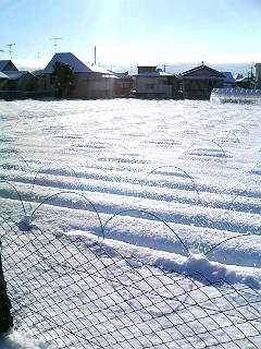 e0089761_0104747.jpg