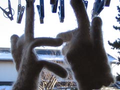 c0020478_029444.jpg