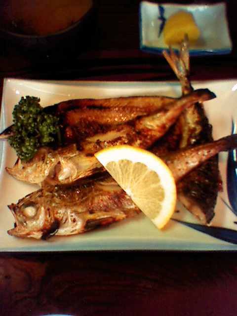 f0051283_15305520.jpg